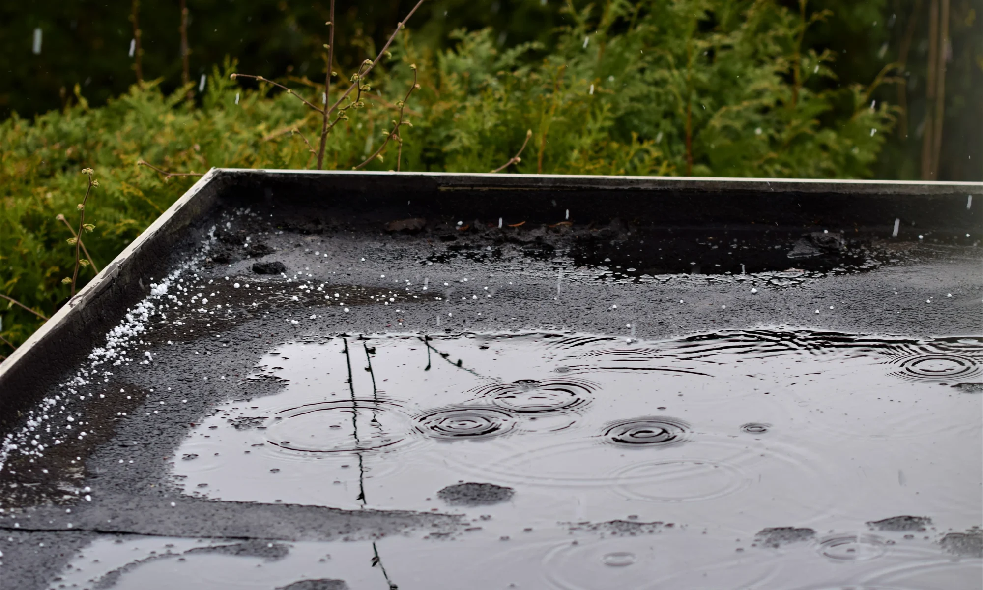 Flat Roof Repair